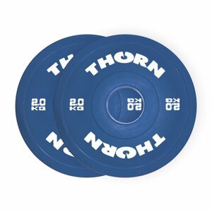 Frakční kotouče - ThornFit Hmotnost: 2 kg