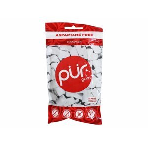 The PÜR Company Přírodní žvýkačky bez aspartamu a cukru - Cinnamon | PÜR