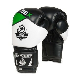 Boxerské rukavice DBX BUSHIDO B-2v6 Name: Boxerské rukavice DBX BUSHIDO B-2v6 vel.10 oz, Size: 10 z.