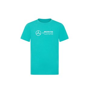 Mercedes AMG Petronas dětské tričko Large Logo green F1 Team 2024 Stichd 701227047001104