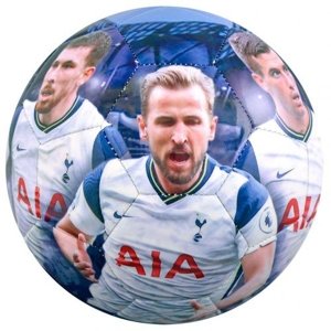 Tottenham Hotspur fotbalový míč players photo football f50fpttotp