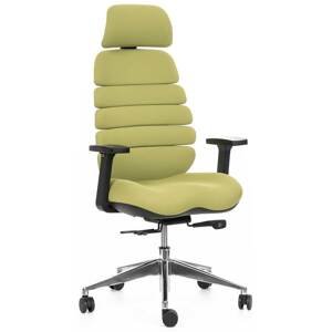MERCURY Kancelářská židle SPINE zelená s PDH