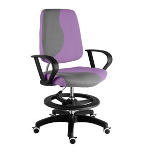 Dětská rostoucí židle ERGODO KIDS PLUS Barva: fialovo-šedá