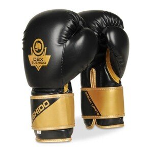 Boxerské rukavice DBX BUSHIDO B-2v10 Velikost: 10oz