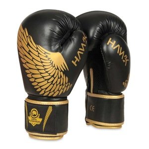 Boxerské rukavice DBX BUSHIDO B-2v17 Velikost: 10oz.